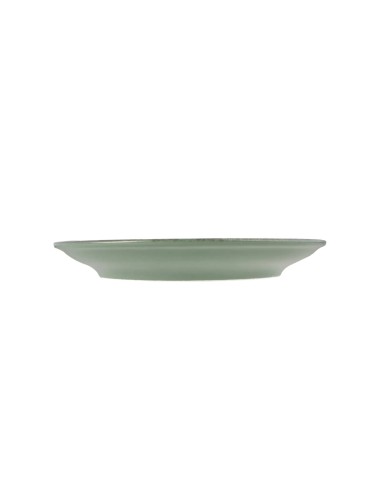Plato Llano Redondo Porcelana Verde 25 Cm Lykke Porland