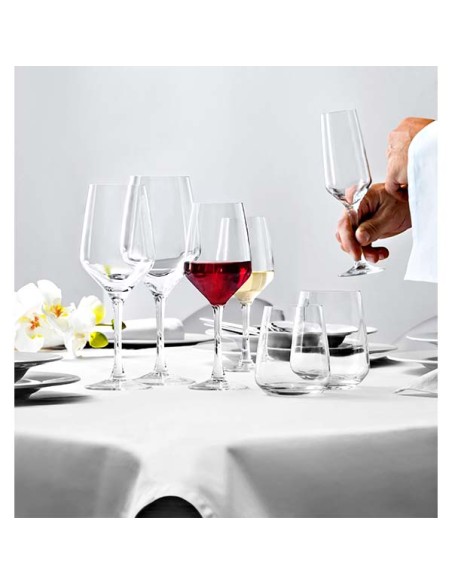 Cup Cava Transparent Glass 17 Cl ence-stressed Vicrila | Pilsa