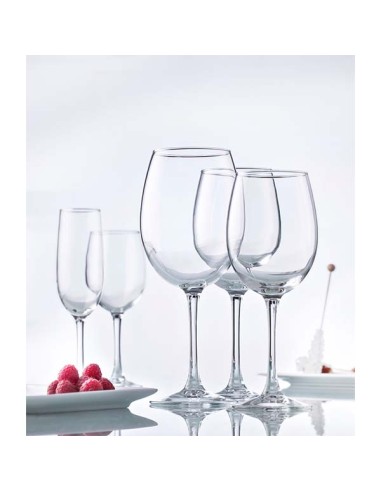 Cup Burgundy Transparent Glass 47 Cl Pinot Vicrila | Pilsa
